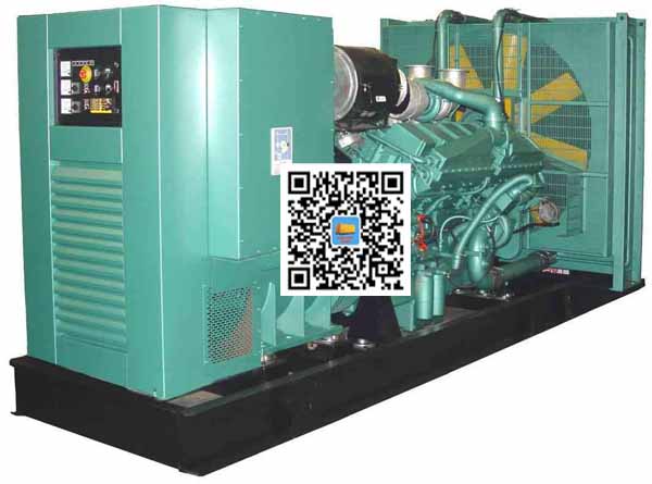 晴隆笼型异步发电机的电力电子控制技术